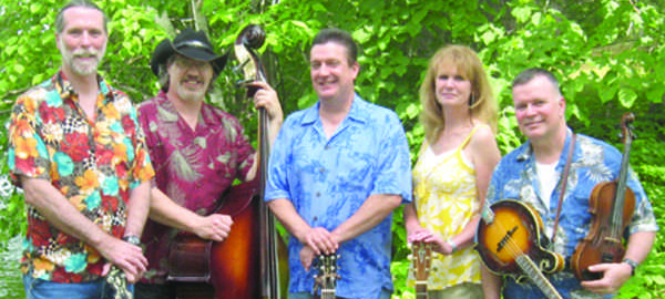 The Nitpickers