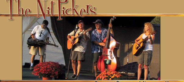 The Nitpickers