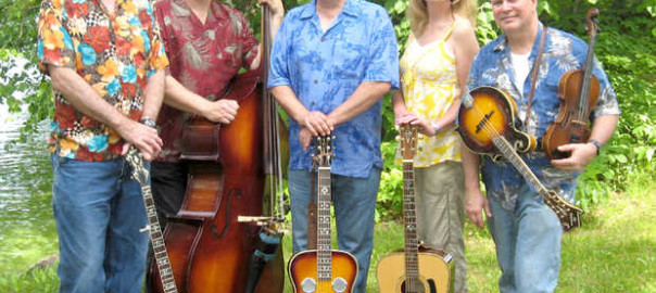 The Nitpickers