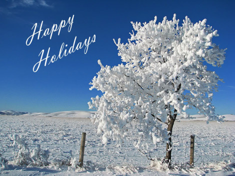 Wishing You A Merry Holiday Season!